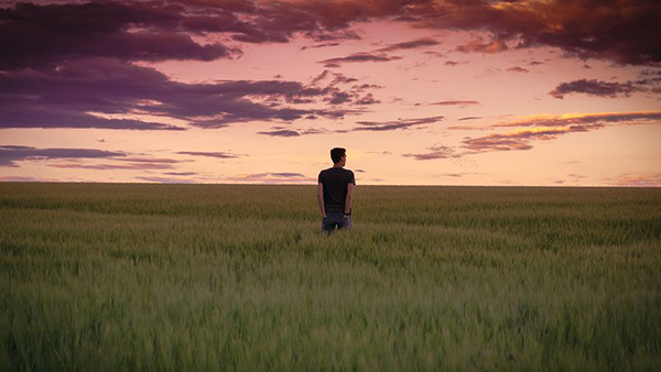 A man looks over a pink sunset in a grassy field.