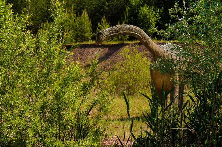 A Brachiosaurus framed through plant life