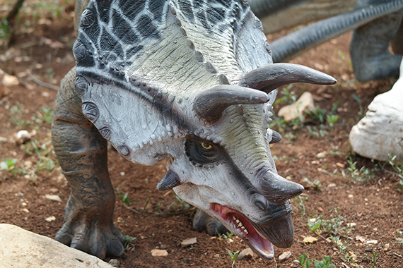 a non-feathered triceratops menaces the camera