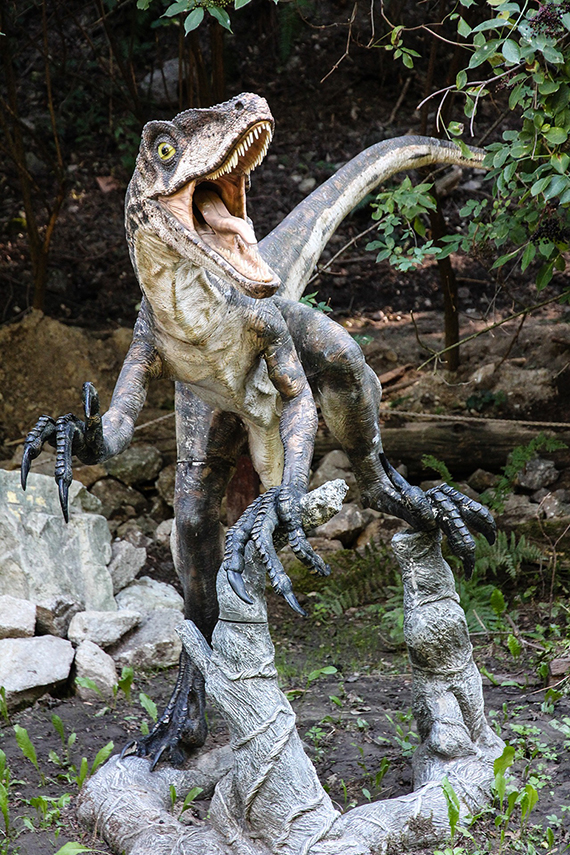 An older image of a raptor, basing more of their  portrayal in Jurassic Park