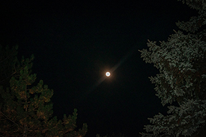 A Bright white moon hanging in the black sky of night