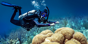 A diver approaches a sea sponge.