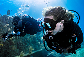 A Pair of scuba divers surveying a shipwreck.