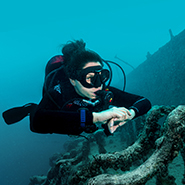 A Diver surveys a shipwreck she found.