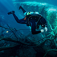 A diver inspects a shipwreck in deeper waters