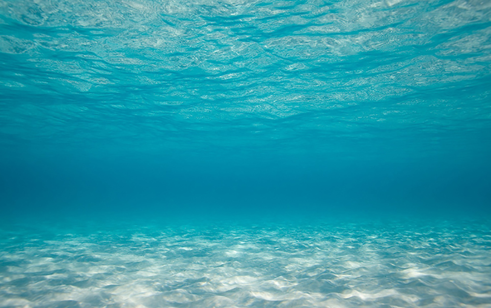 An underwater backdrop