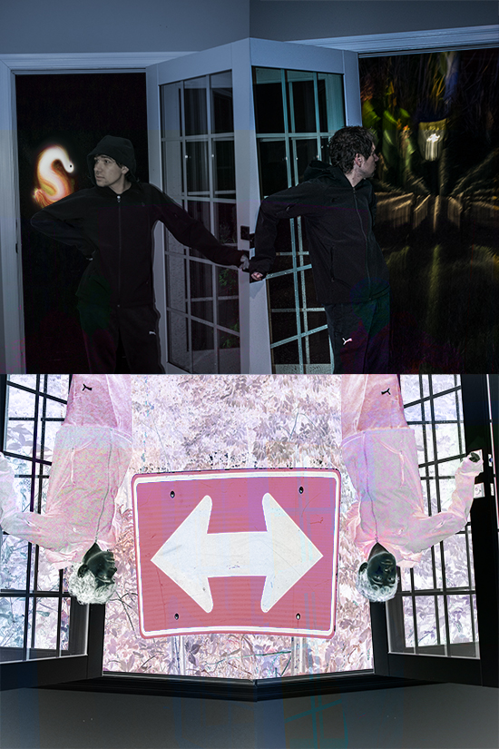 A Logan stares at a light snake through a window, mirrored on the left and inverted on the bottom. In the inverted photo the logan is instead staring at a sign pointing at him in both directions.