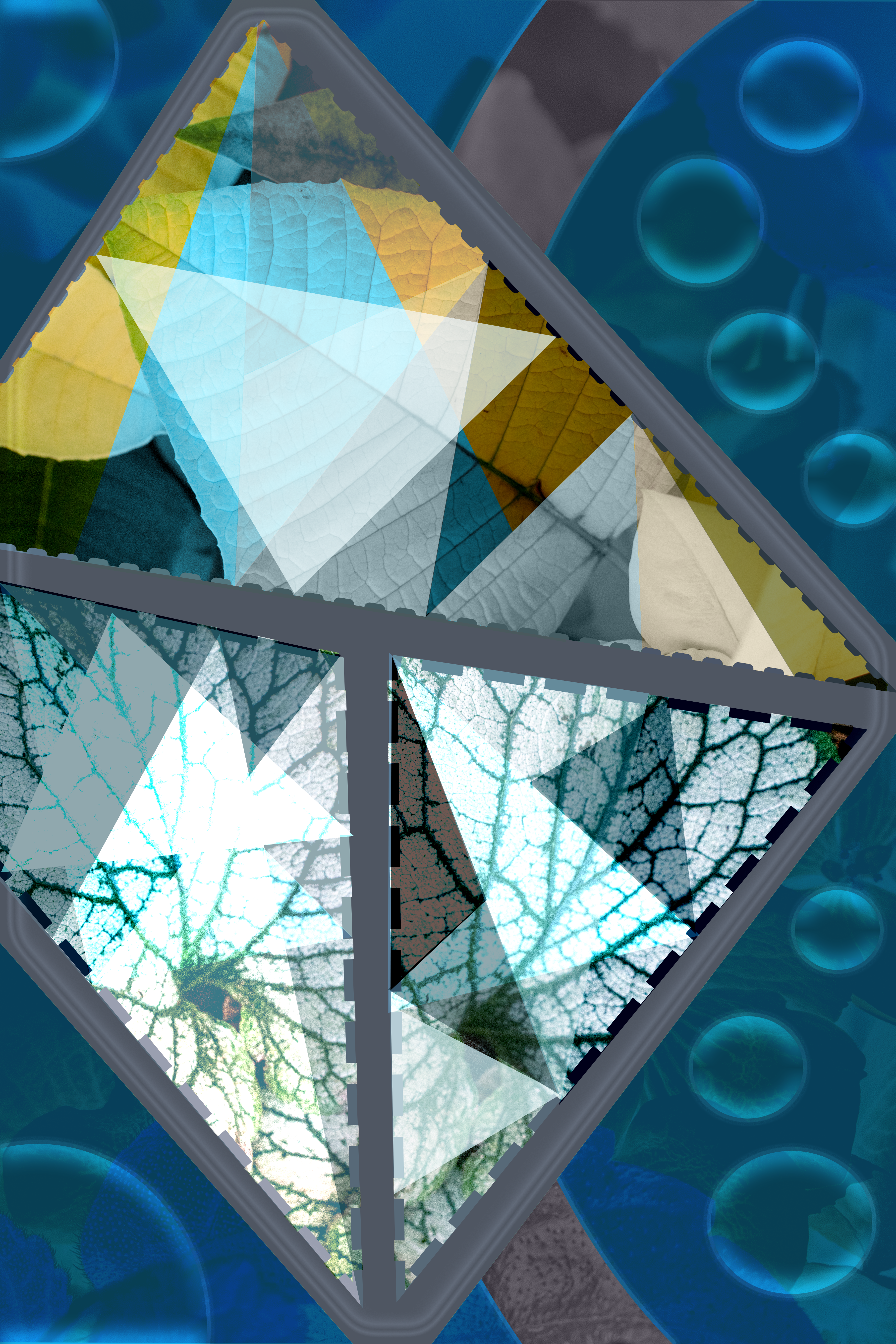 A Complicated image featuring a cyan background with bubbles, a diamond made of grey metal in the middle, and inside of it are three tirangles that contain photographs of leaves. These leaves are intersected by various triangles thich muddle and mess with the colors of the leaves.