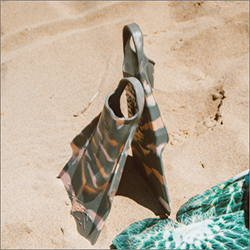 a pair of flippers on a beach