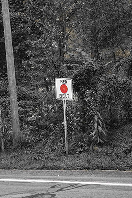 A Monochrome sign with its RED belt in color