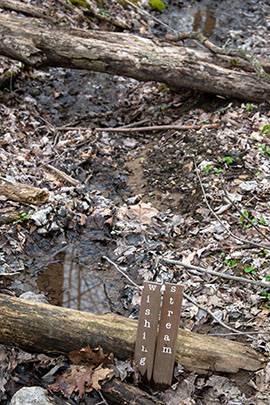 A stream with two pieces of wood with the words wishing stream written on them.