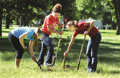 A group of volunteers planting trees.